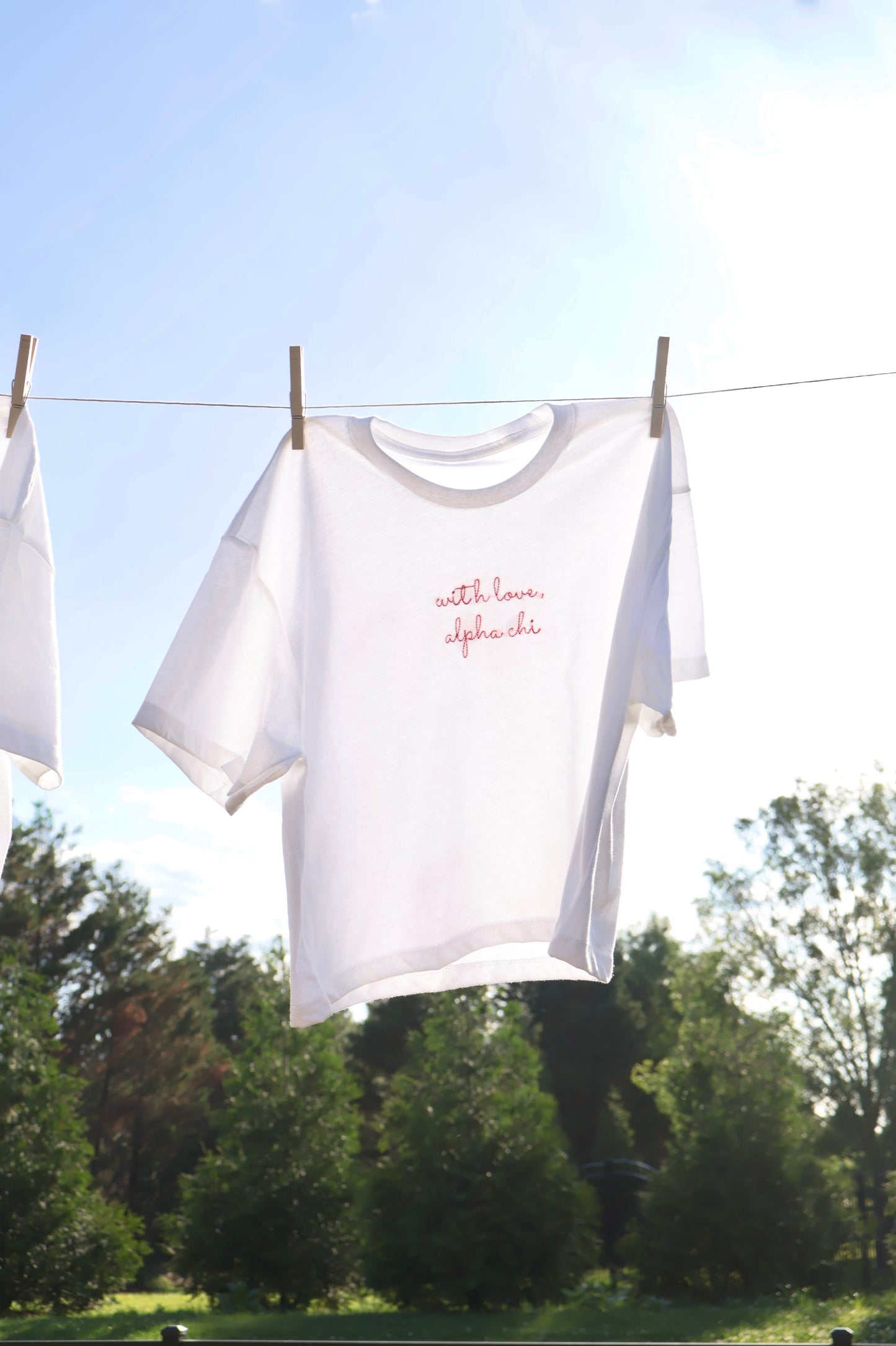 Alpha Chi Omega Embroidered With Love Cropped T-Shirt